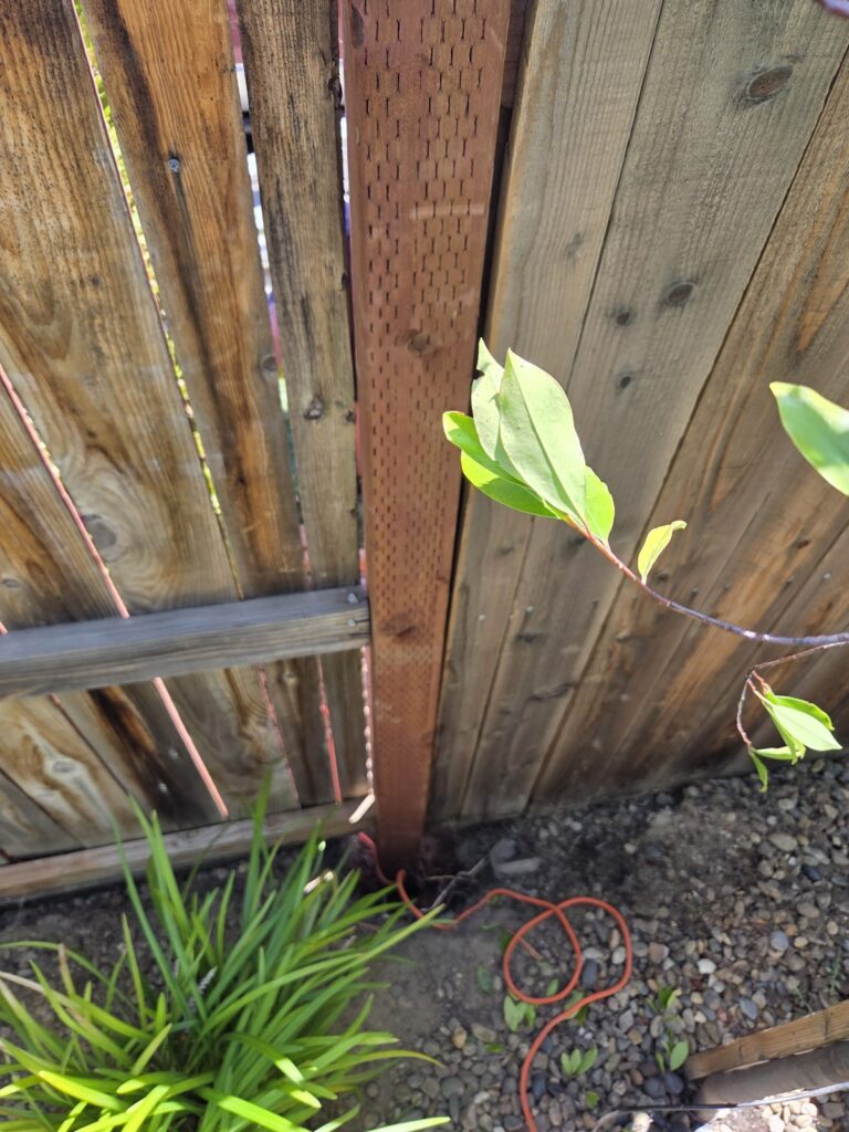 Wood fence and gate built by Blair Handyman in the Sacramento area