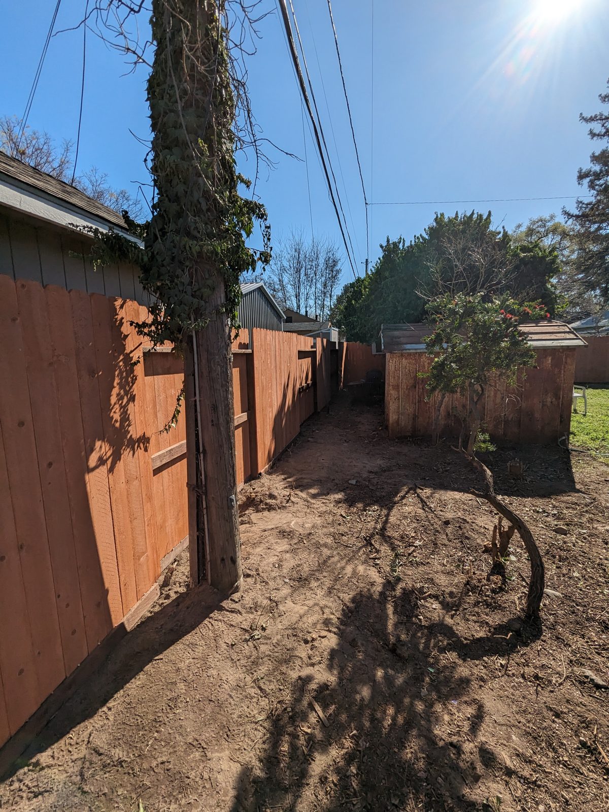 Wood fence and gate built by Blair Handyman in the Sacramento area