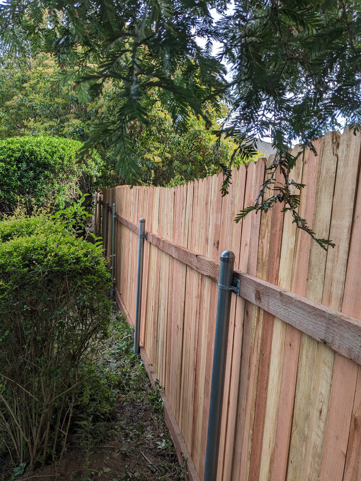 Wood fence and gate built by Blair Handyman in the Sacramento area