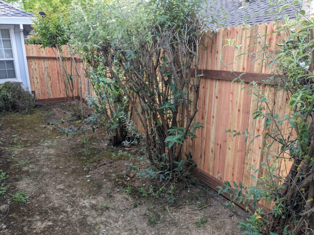 Wood fence and gate built by Blair Handyman in the Sacramento area