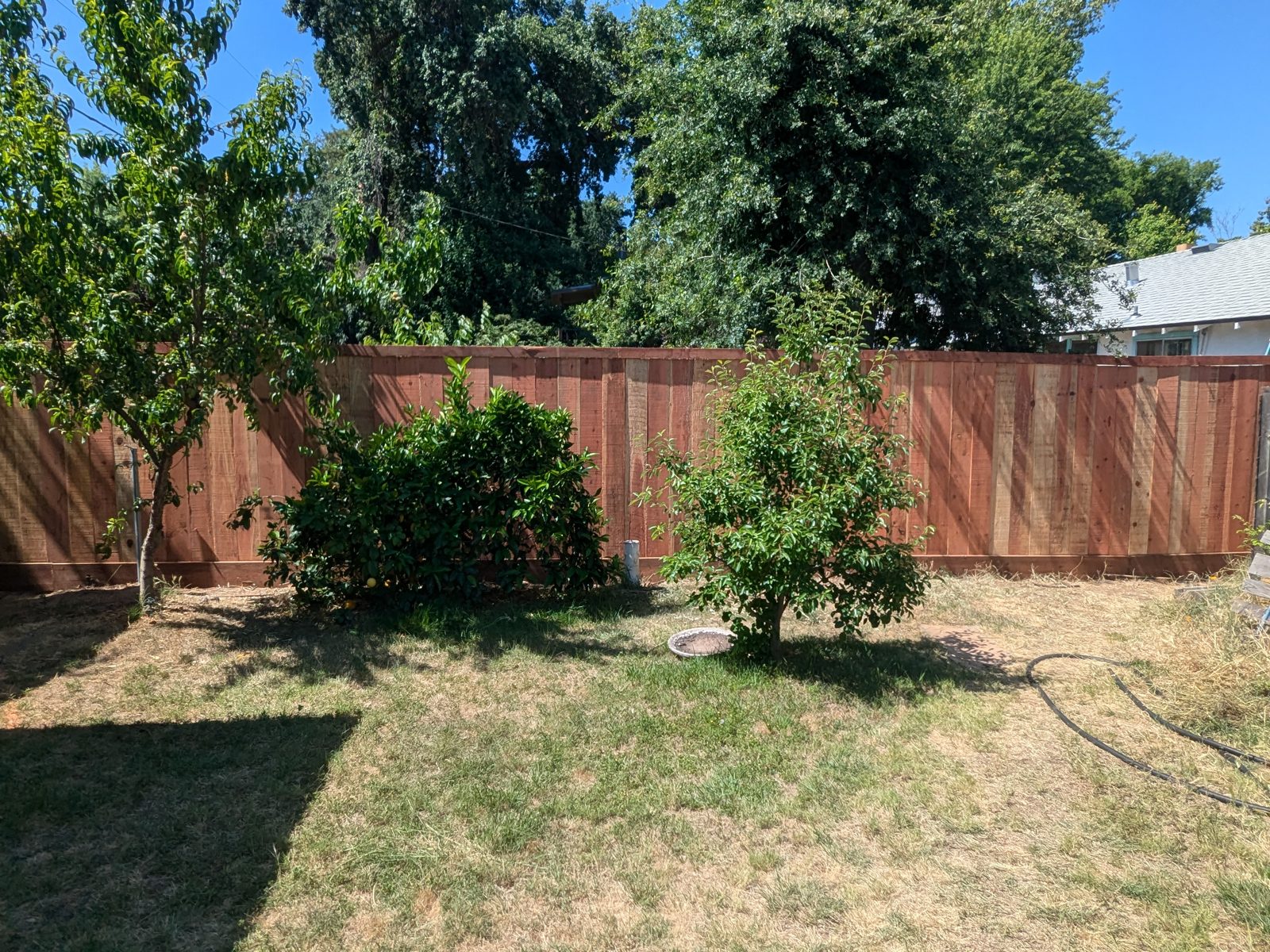 Wood fence and gate built by Blair Handyman in the Sacramento area