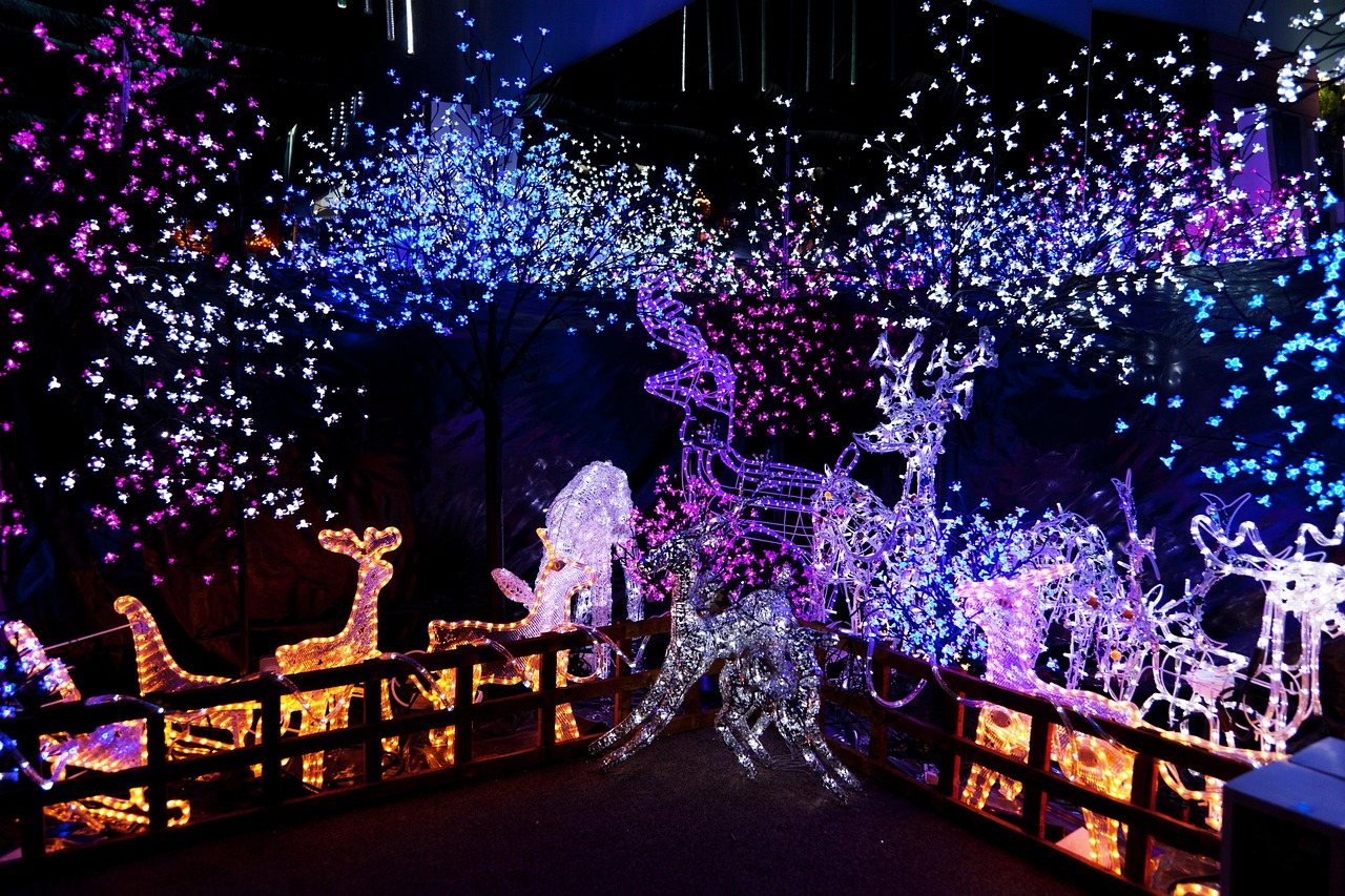 Lit reindeer display in a front yard