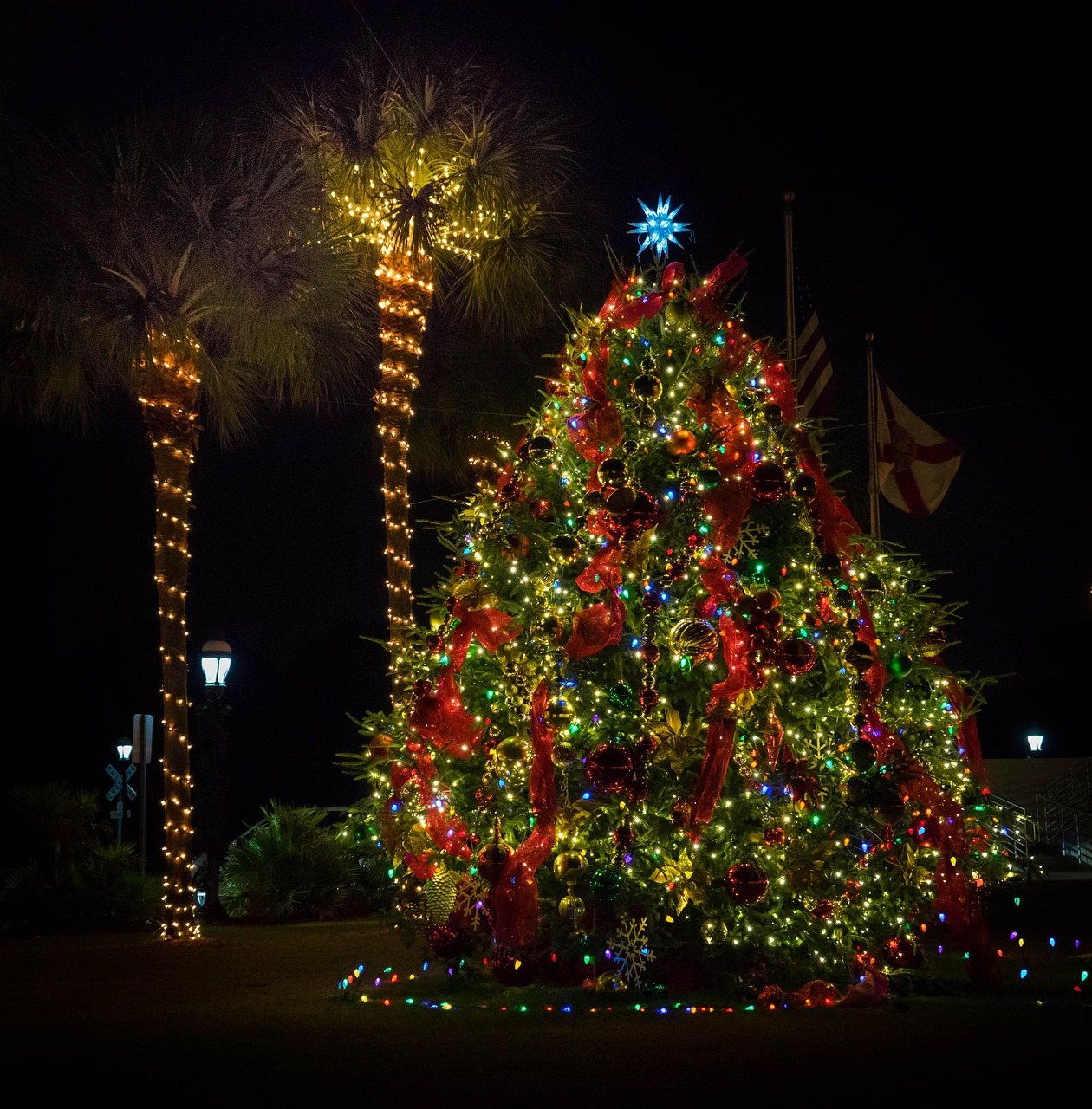 Lit Christmas tree beside palm trees