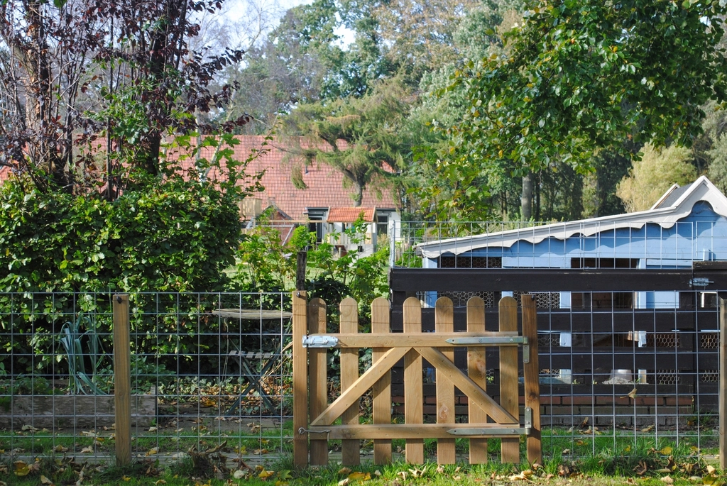 Wooden garden gate set into a backyard fence